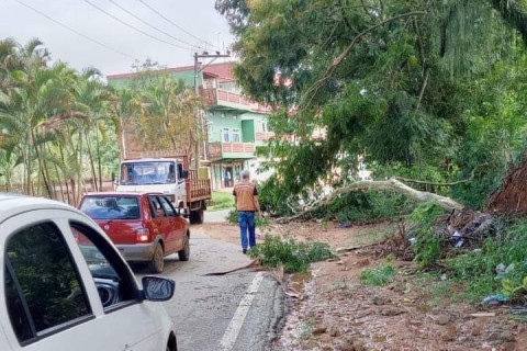 Forte temporal causa inundação no bairro João Bonito e árvores em Osório