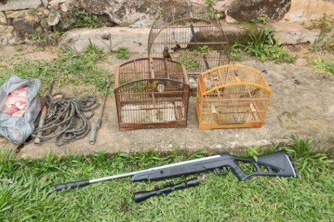 Açāo da Polícia Ambiental desmantela cativeiro de animais silvestres e prática de caça Ilegal em distrito.